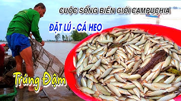 Đặt lú "12 Cửa Ngục"trúng đậm sản vật cá Heo mùa nước nổi - Cuộc sống biên giới Campuchia |OKDD #136