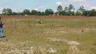 Trex 550 Hover Test