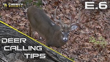 Deer Calling Tips - E.6 "Doe Bleats on Pre Rut Bucks"
