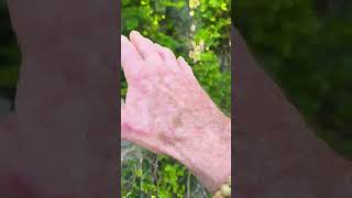 Hill Top Castle Finiding a Leak Pt 2