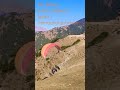 Paragliding-Bir Billing😯😯 #birbilling #trending #travelvlog #latestvideo #shorts #paragliding #new