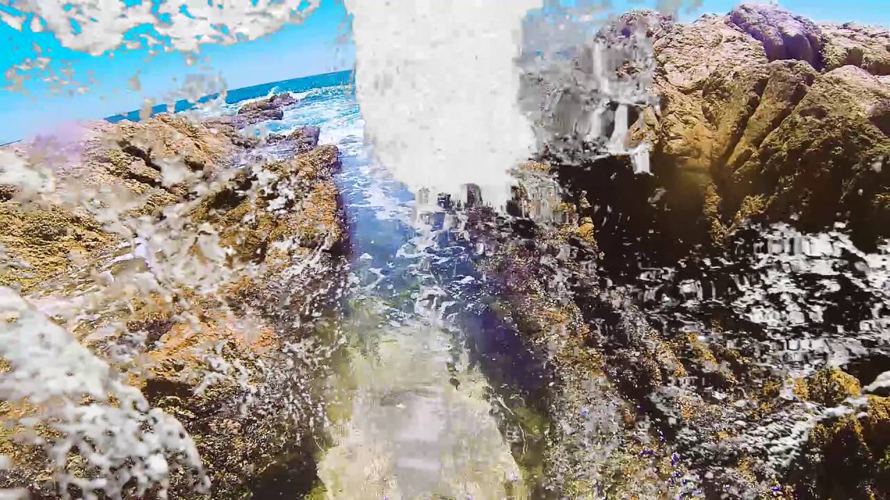 Watch People's Palms - Monarch on YouTube Watch People's Palms - Monarch on YouTube