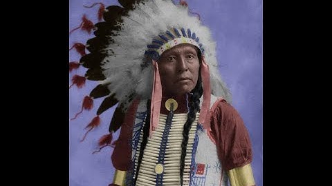 The Walam Olum or Red Record.Delaware Indian Creation, Flood, Migration Narrative.Biblical Evidence.