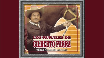 Amor Del Alma