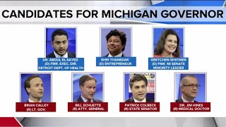 Michigan primaries include hotly contested governor's race