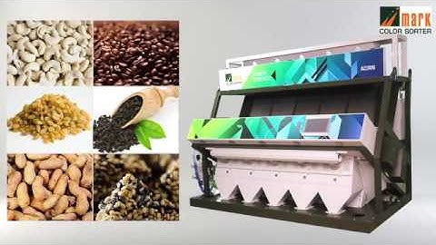 Color Sorting Machines Exporter