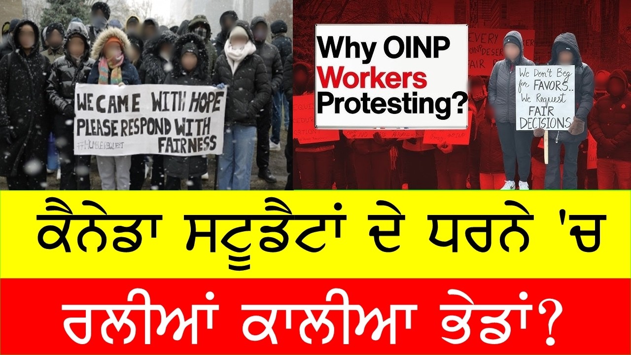 ਸਟੂਡੈਂਟ ਪ੍ਰੋਟੈਸਟ ਵਿਚ ਰਲੀਆਂ ਕਾਲੀਆਂ ਭੇਡਾਂ ? OINP student protest Canada @GURBHEJSIDHUV8 #bassishow