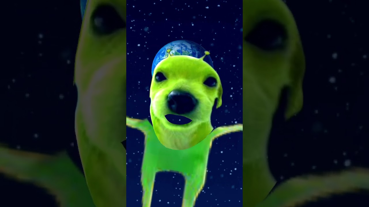 Alien dog 