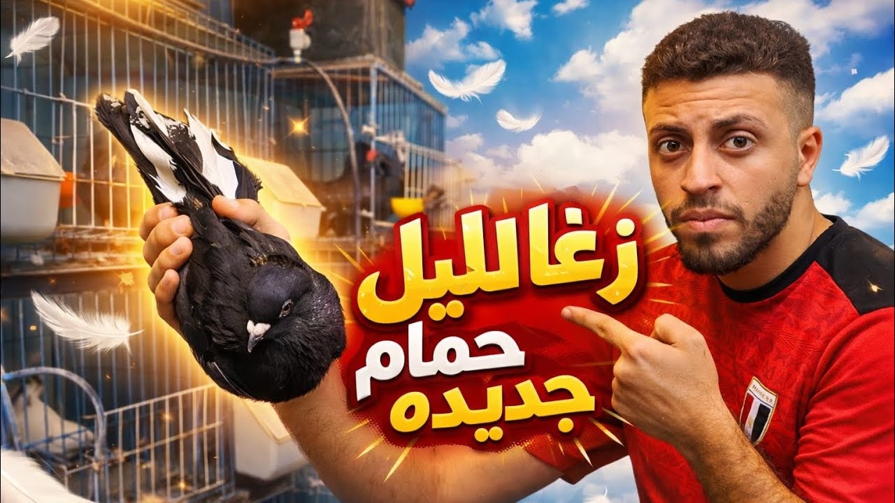 زغاليل جديده عند الحمام 🕊🥹 