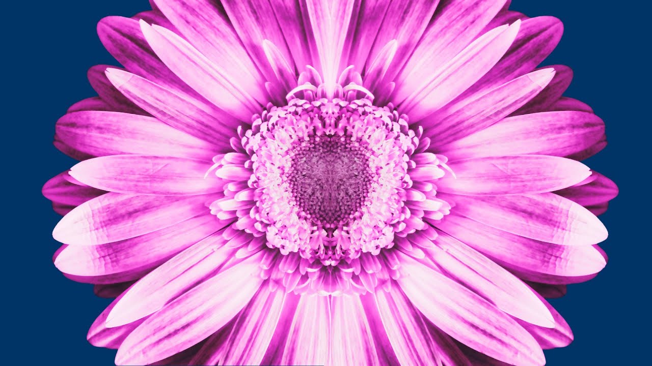 Весенний вечер возвращается!