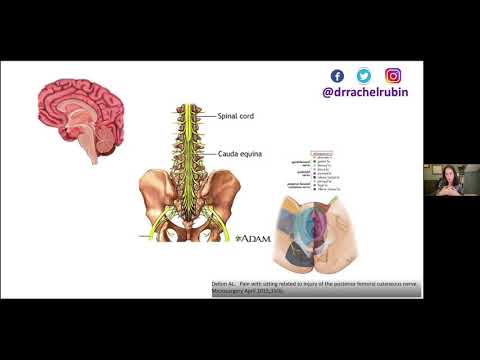 Clitoral Adhesions - International Clitoral Summit 2021