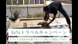 ペット旅行費用を補助する全国旅行支援 県民割 都民割 Gotoトラベルキャンペーンを活用して愛犬とお得なおでかけでペット宿へ Equall Life