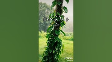 تلاوه خاشعه قل اللهم مالك الملك