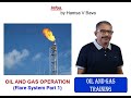 Oil and gas operation flare system part 1