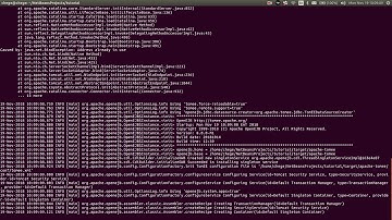 Getting Started With Apache TOMEE