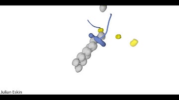 Actin nucleation by Formin