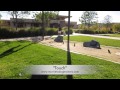 GoldenDoodle 2wk Transformation! San Diego dog training GoldenDoodle 2wk Transformation! San Diego dog training