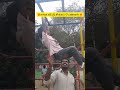 🥳😘🥰Beautiful Family Day at the Park Kids Games Happy MomentsFamily Time at Park Kids Playing🥰🥳