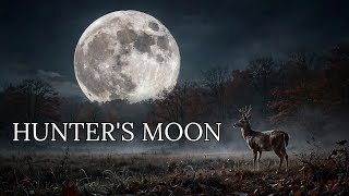Information The Hunter’s Moon 2026: The Spiritual Meaning October’s Full Moon & Pantry Audit Ritual  Guide