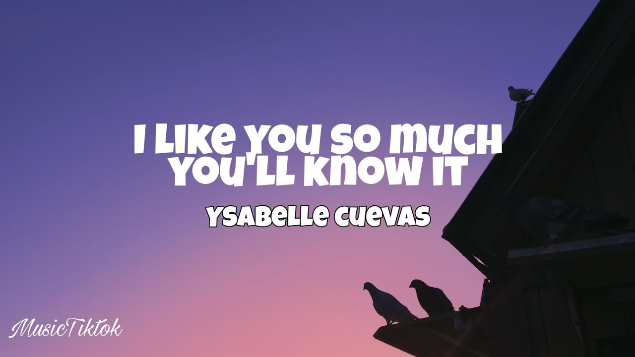 I Like You So Much You'll Know It - Ysabelle Cuevas (Lyrics) - YouTube