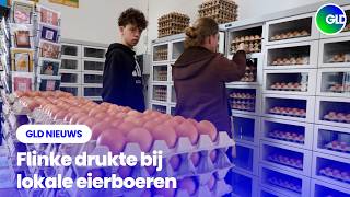 Gld Nieuws 6 April 2026