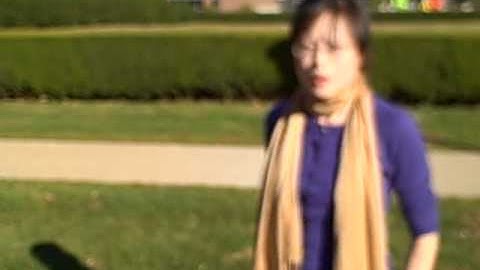 Collective Intelligence