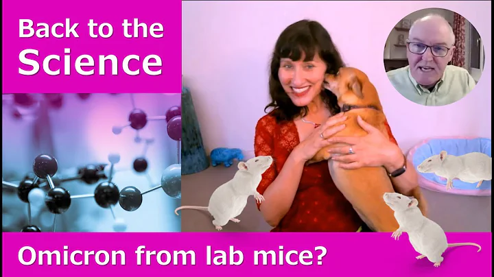 Weird Omicron lab mice theories on Dr John Campbel...