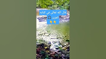قال الله تعالى #اكسبلور #ترند #المصحف #القرآن_الكريم #سورة البقرة