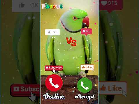 Ringtones Effects Ringtone