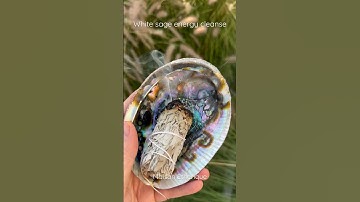 White sage energy purification and Abalone shell rest 🌿✨
