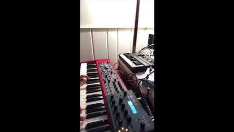 Dave Smith Instruments Tetra - Ambient Sounds