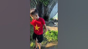 🌿🐑 TẤT TẦN TẬT VỀ ĐỒI CỪU HẢI VÂN – ĐIỂM CHECK-IN HOT NHẤT ĐÀ NẴNG 🌊✨