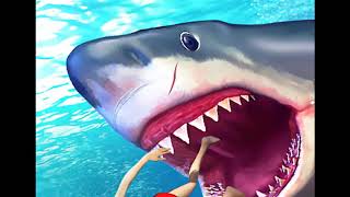 Shark attack test human blood vs