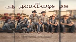 Video thumbnail of "Los Igualados - Canción Mixteca [2014]"