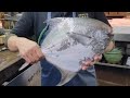 【職人技】100年続く魚河岸の有明海のマナガツオ捌き方・下処理How to prepare large fish