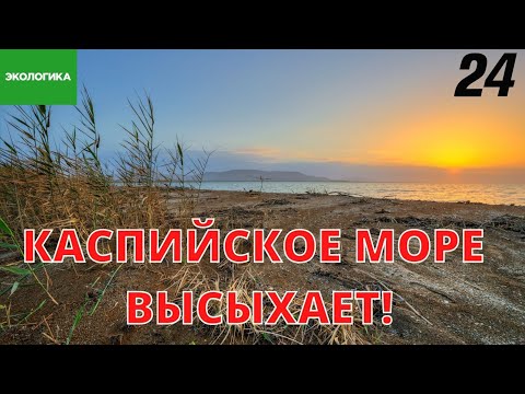 Видео: Почему в бхабаре исчезает река?