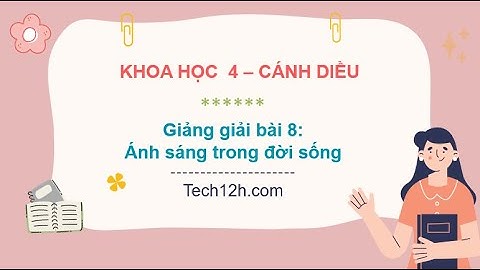 Giảng bài 8: Ánh sáng trong đời sống | Bài giảng khoa học 4 cánh diều
