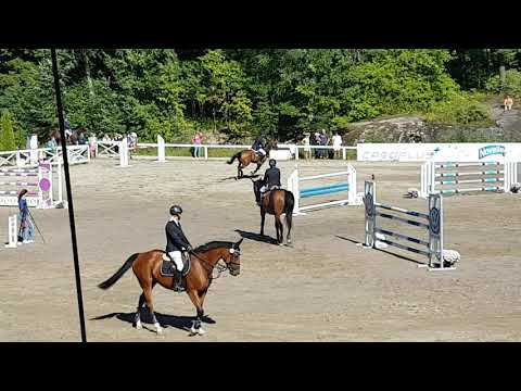 Carvallio HH -