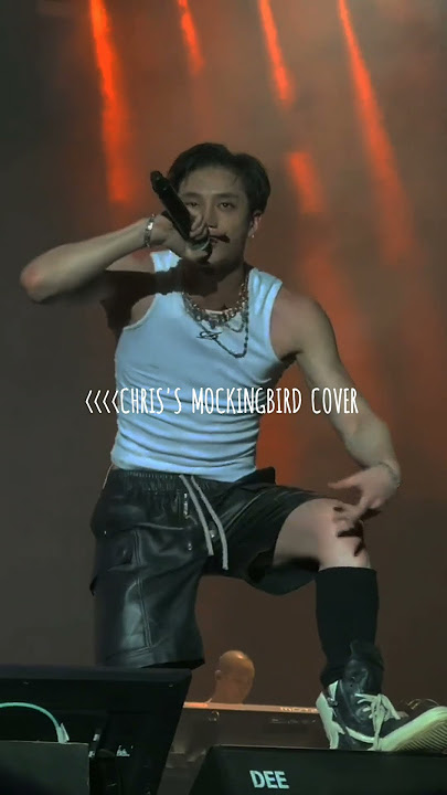 Bang chan mockingbird ai cover #bangchan#skz#straykids#christ#lollapaloozaskz#heyday#mockingbird