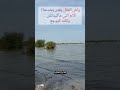 هل يمكن للعقل أن يخلق الألم سر الألم الوهمي وتأثير الأفكار على حياتك 