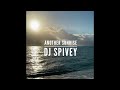 "Another Sunrise" (A Soulful House Mix) by DJ Spivey