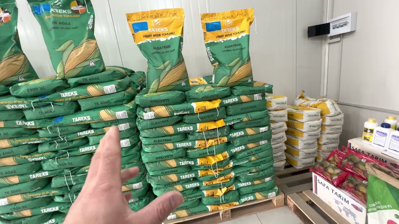 Tareks rasmi ofis  makkajoxori uruglari TRL99 399-09-09