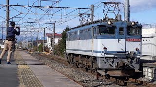 JR貨物 EF65 2085号機 新A905仕業[単8790レ] 熊谷タ行 神保原駅通過！