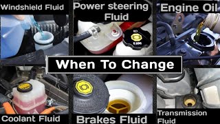 How Often Do You REALLY Need To Change Your Car Fluids #oil #motor oil