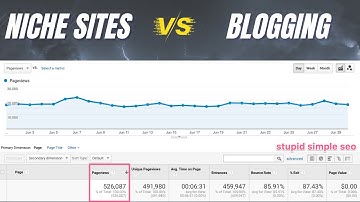 Niche Sites vs. Blogging: What