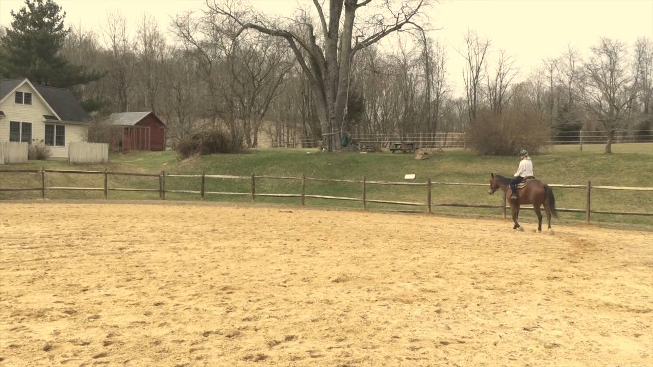 Oliver, Rachel, Amy & Bikrant