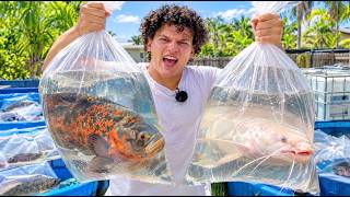 I’m EMPTYING My Backyard MONSTER FISH Ponds!