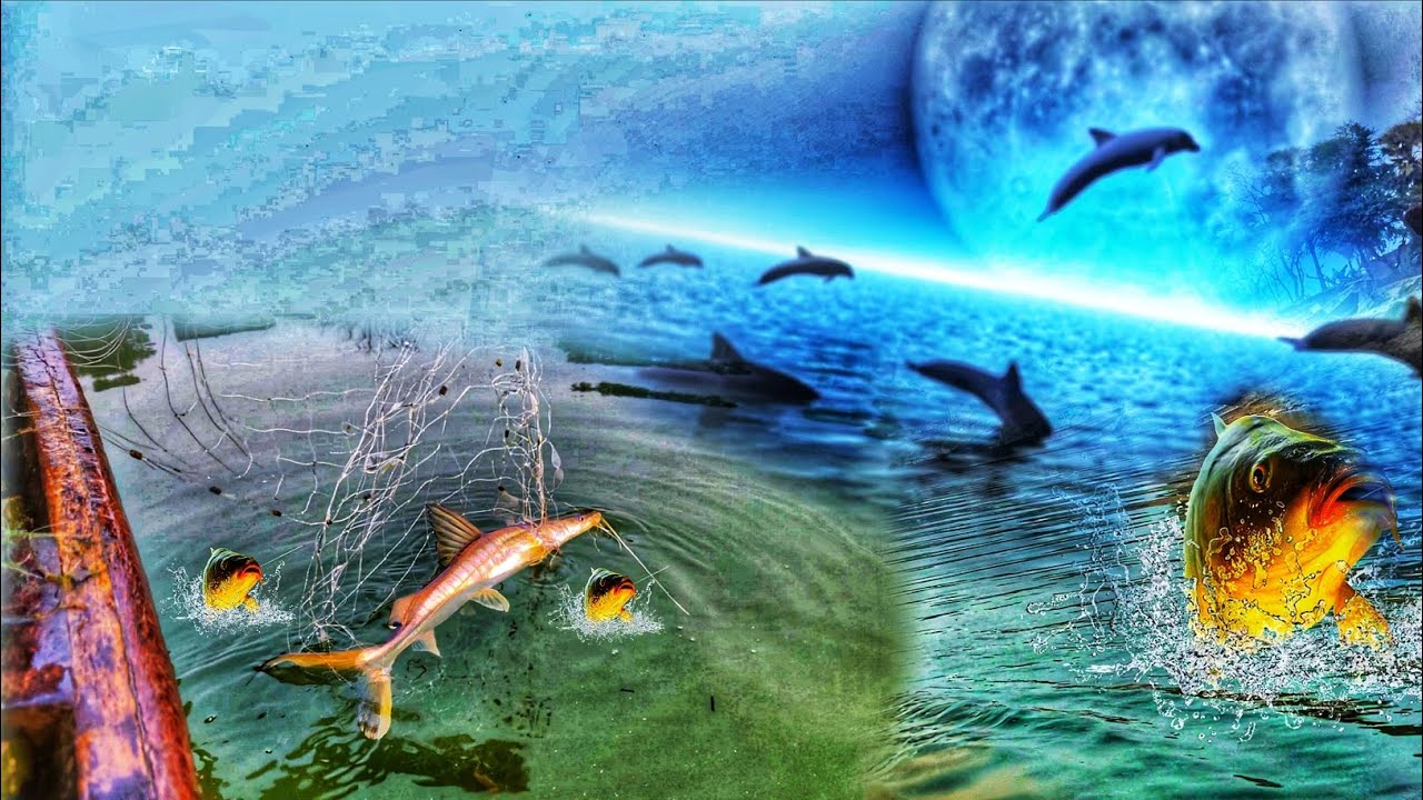 मच्छी मारने का न्यू तरीका नई टेक्निक वीडियो मछली मारने का 