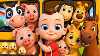 bunny hop song old macdonald wheels bus kids songs