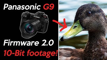 Panasonic G9 4k 10-bit video footage! Can I use the Lumix G9 for video?  | Figmento Films